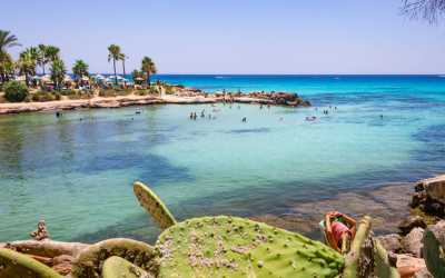 Z Pafos w kierunku Ayia Napa Marathon z Lefkarą, odrobiną wina i oliwy